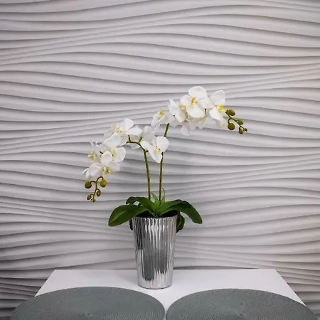 Rynek Sienny 2 Lejlighed *