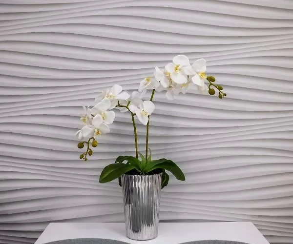 Rynek Sienny 2 Lägenhet *